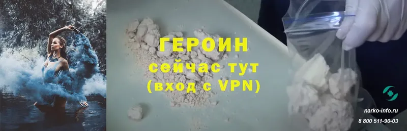 ГЕРОИН хмурый  Анадырь 